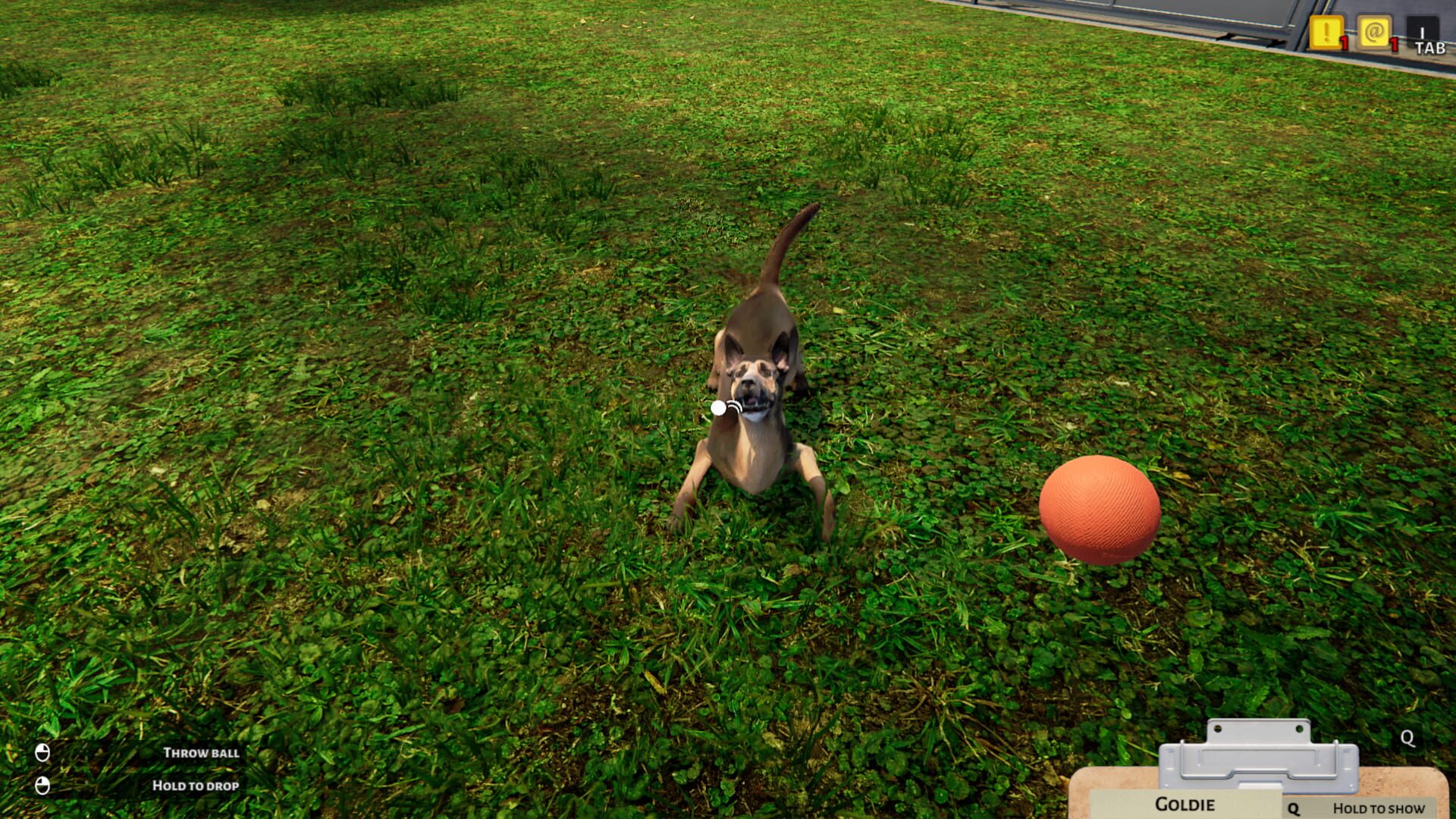 Screenshot for Animal Shelter Simulator