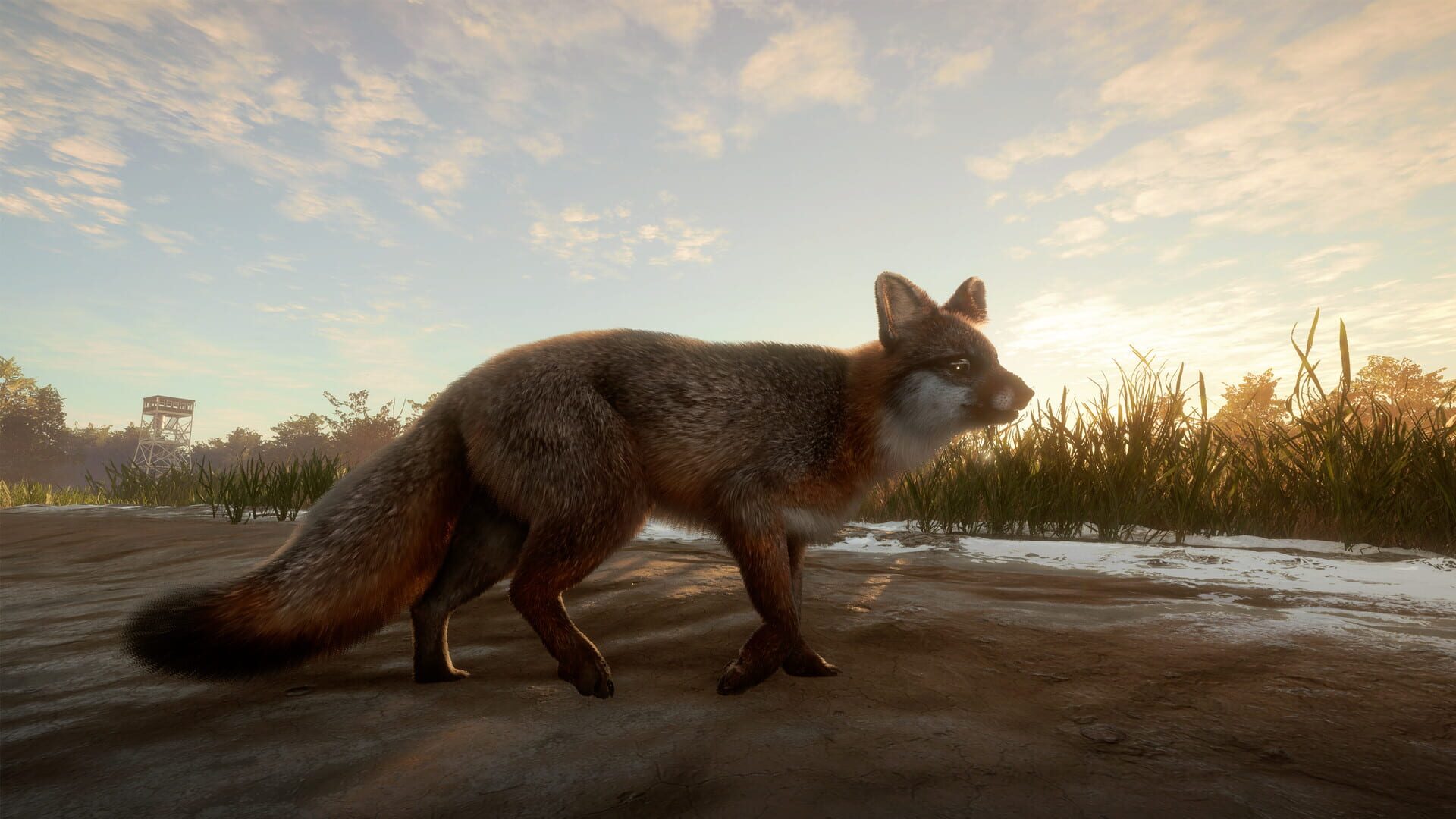 Screenshot for TheHunter: Call of the Wild - Mississippi Acres Preserve