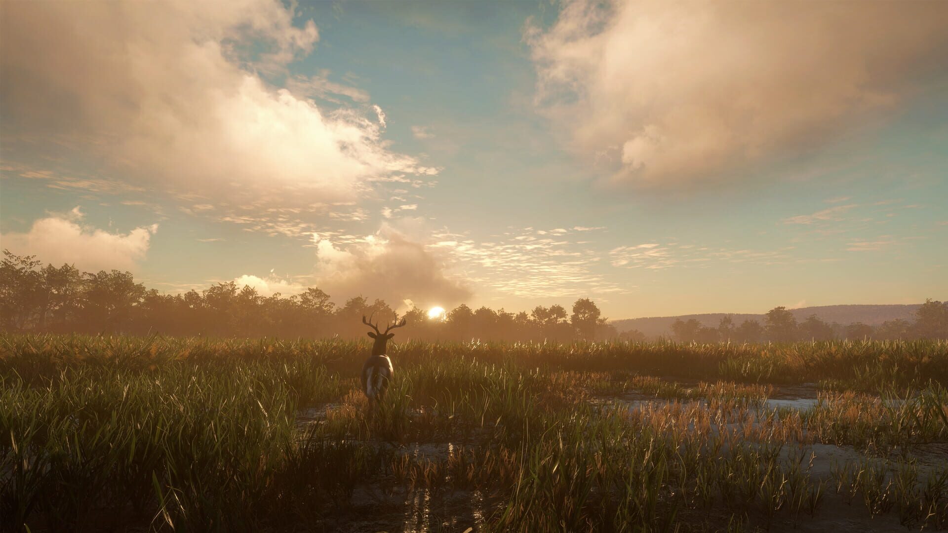 Screenshot for TheHunter: Call of the Wild - Mississippi Acres Preserve