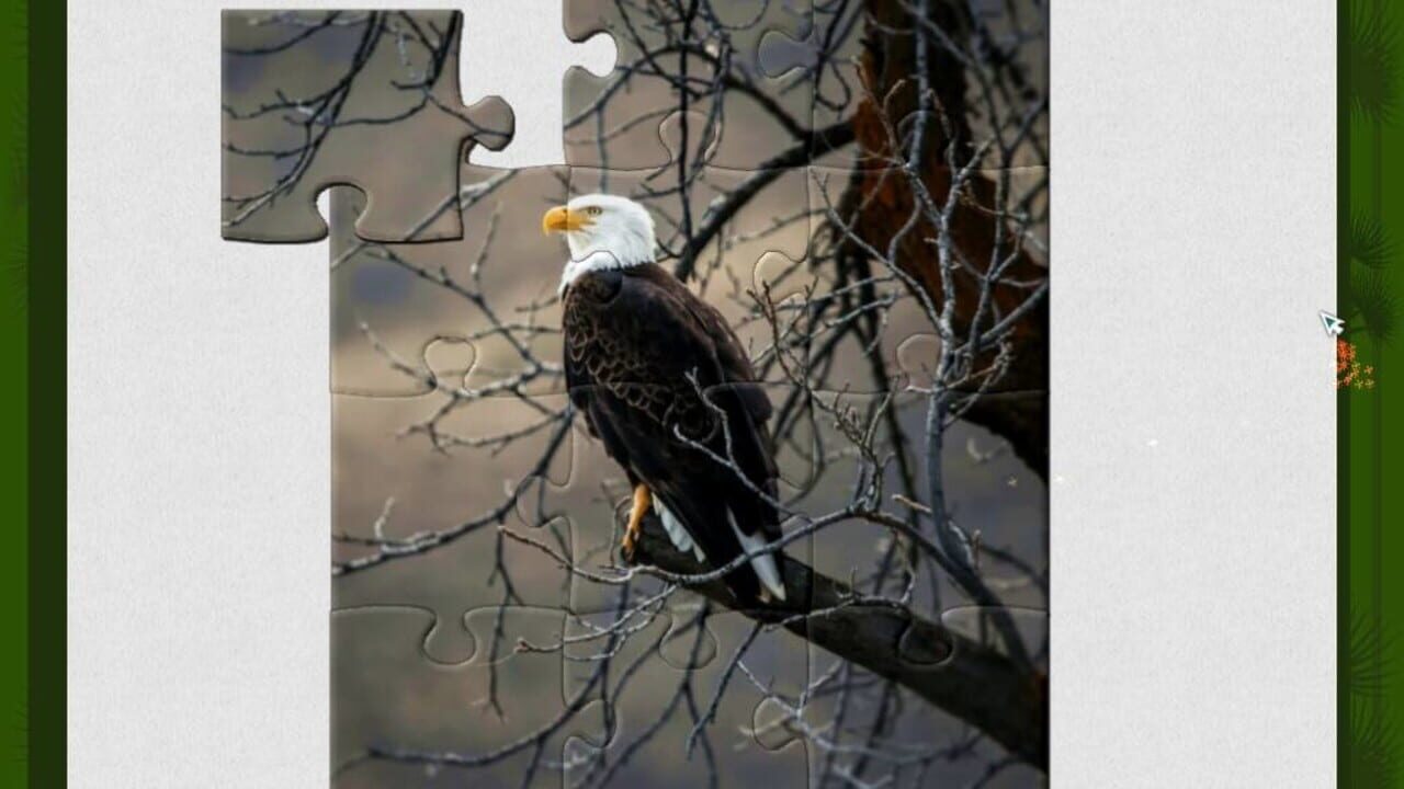 Screenshot for 1001 Jigsaw: Wild Animals