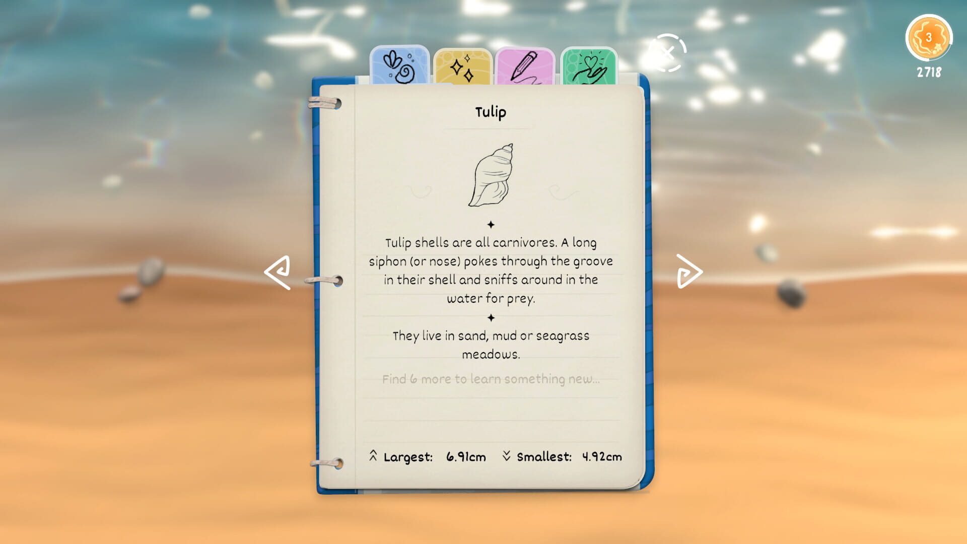 Screenshot for Seashell