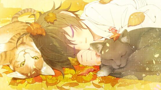 Screenshot for Toki no Kizuna Hanayuitsuzuri