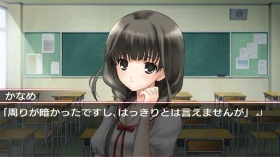 Screenshot for Ookami Kakushi