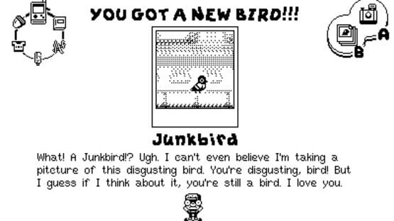 Screenshot for Casual Birder