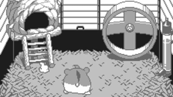 Screenshot for Dokodemo Hamster