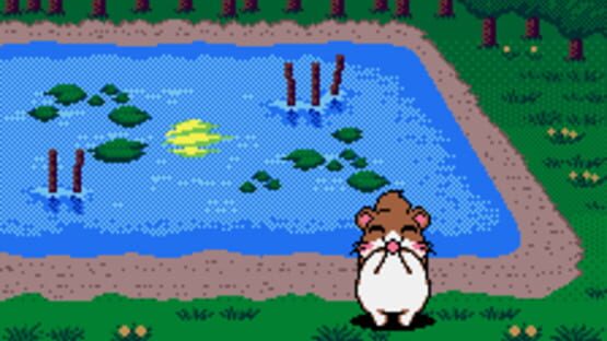 Screenshot for Dokodemo Hamster 3: O Dekake Safuran