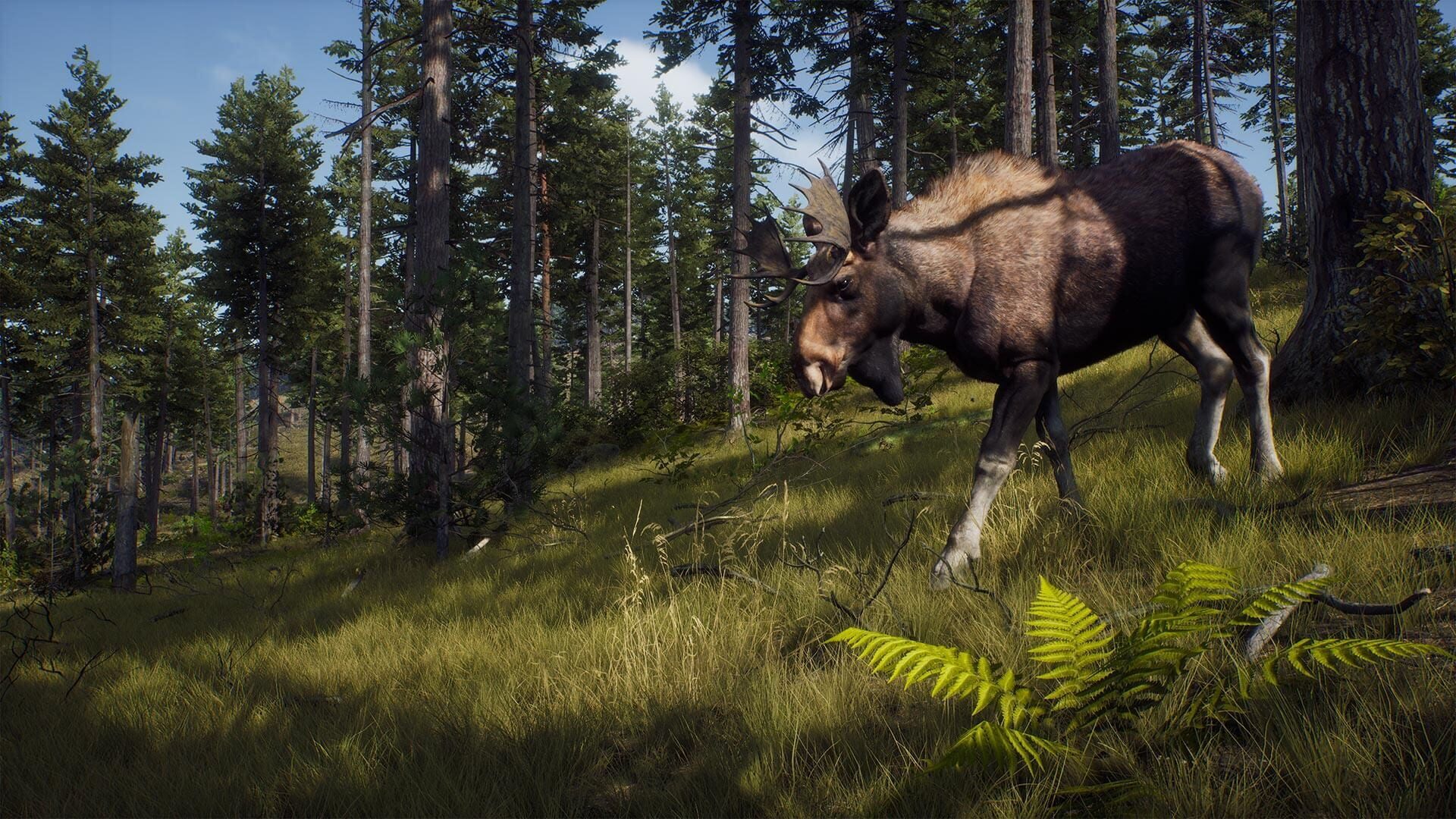 Screenshot for Way of the Hunter