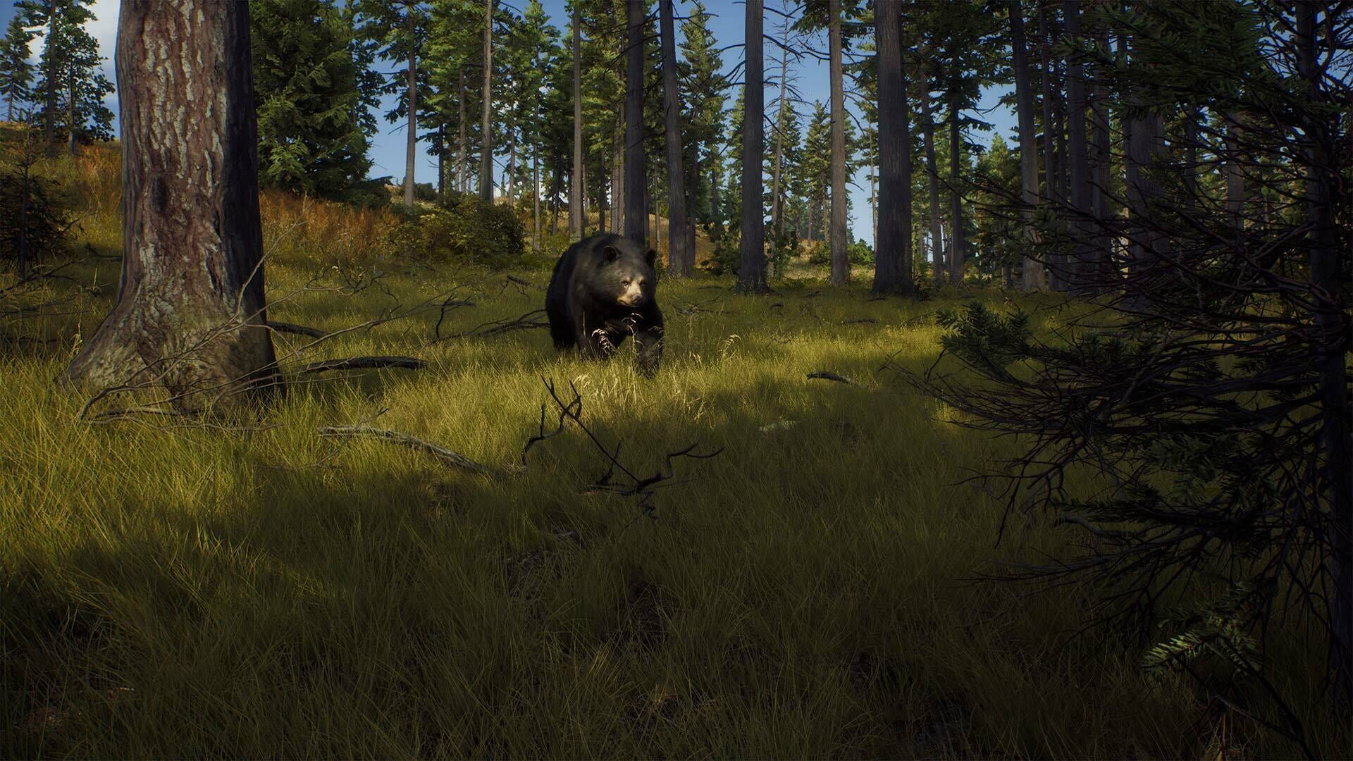 Screenshot for Way of the Hunter