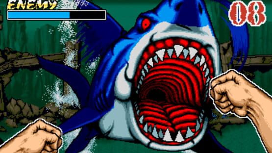 Screenshot for The First Funky Fighter