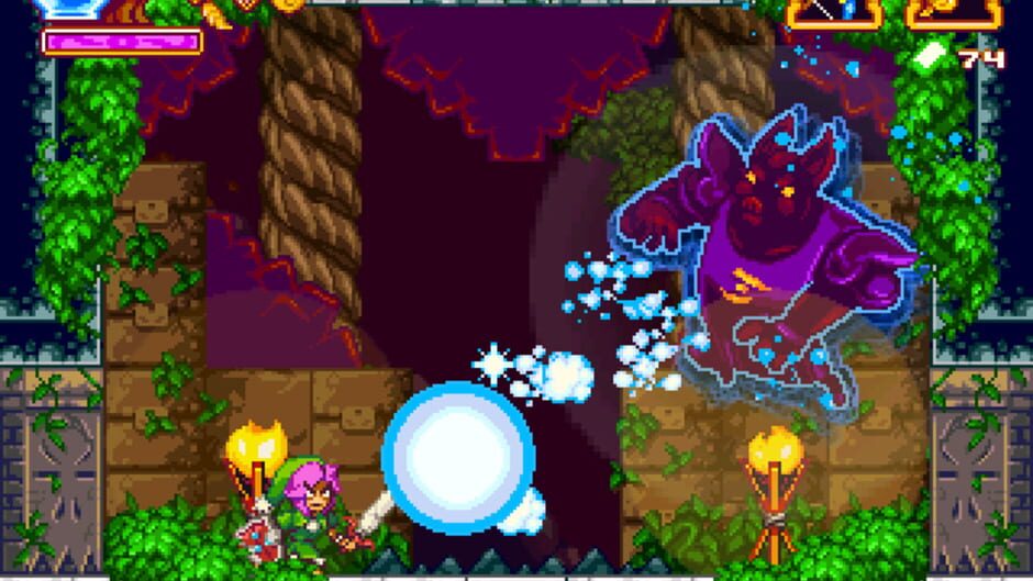 Screenshot for The Legend of Princess