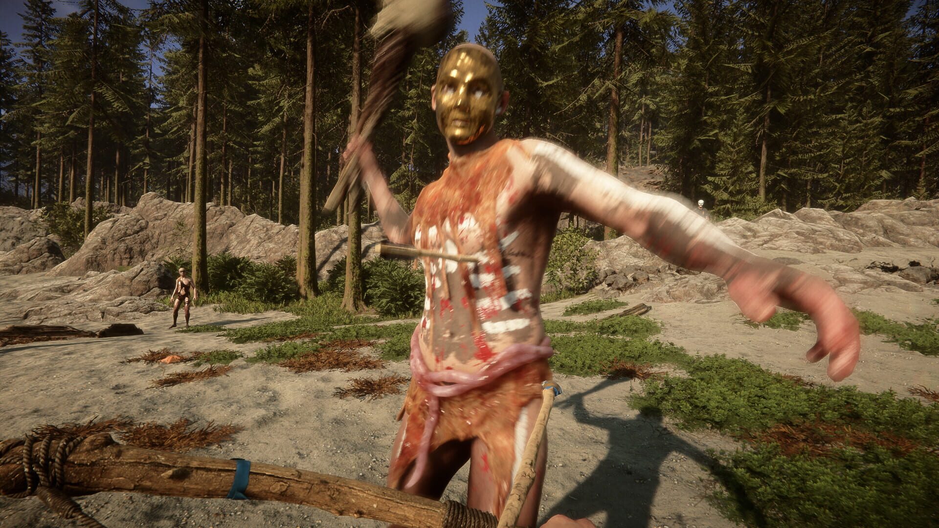 Screenshot for Sons of the Forest