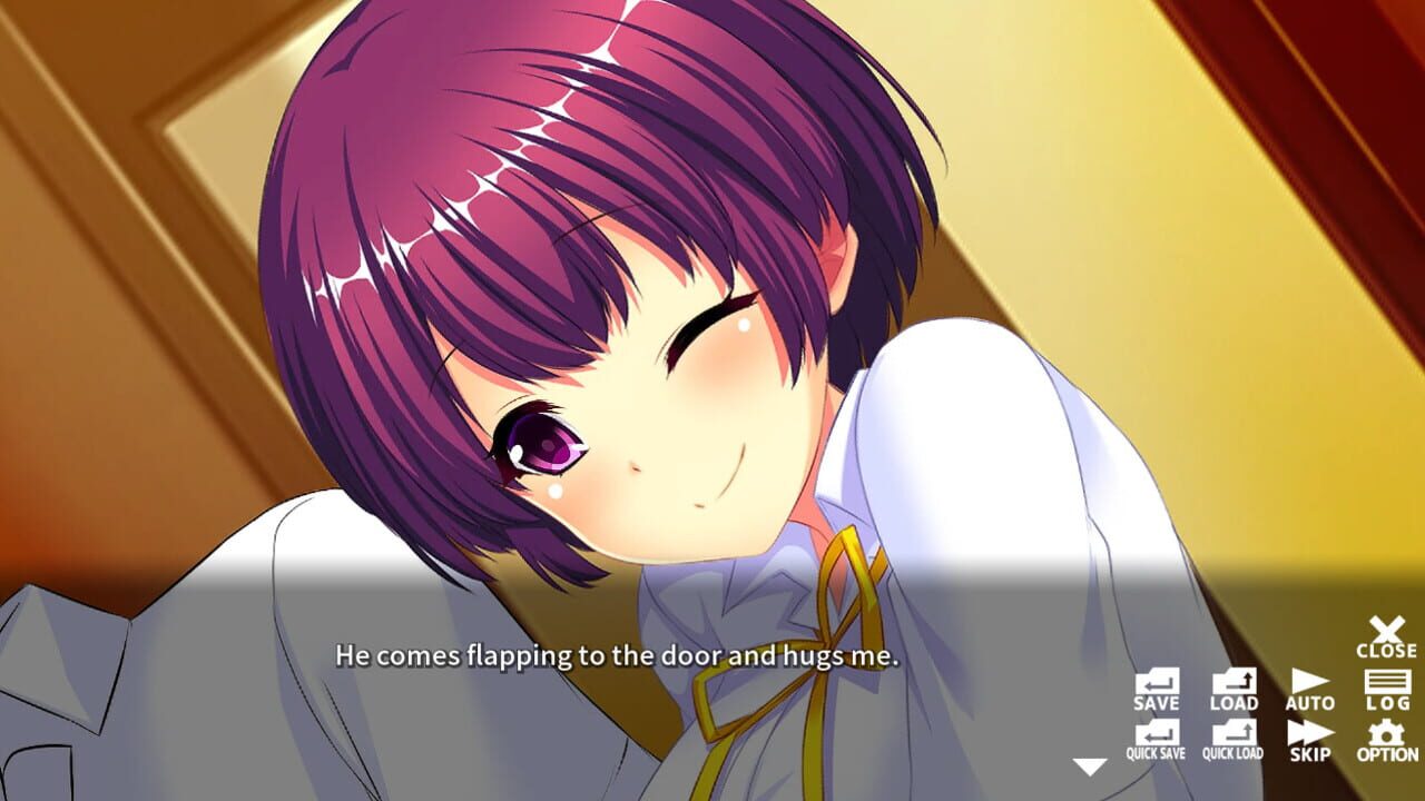 Screenshot for Doki Doki Family: Toku Itaishitsu no Doki-doki Kazoku Seikatsu