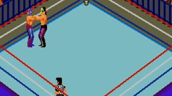 Screenshot for Fire Pro Wrestling: Combination Tag