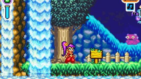 Screenshot for Shantae Advance: Risky Revolution
