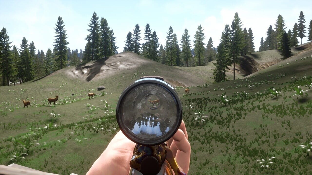 Screenshot for Russian Hunter