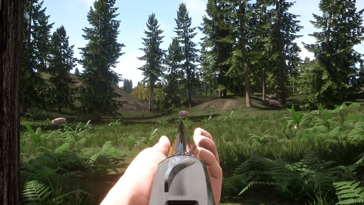 Screenshot for Russian Hunter