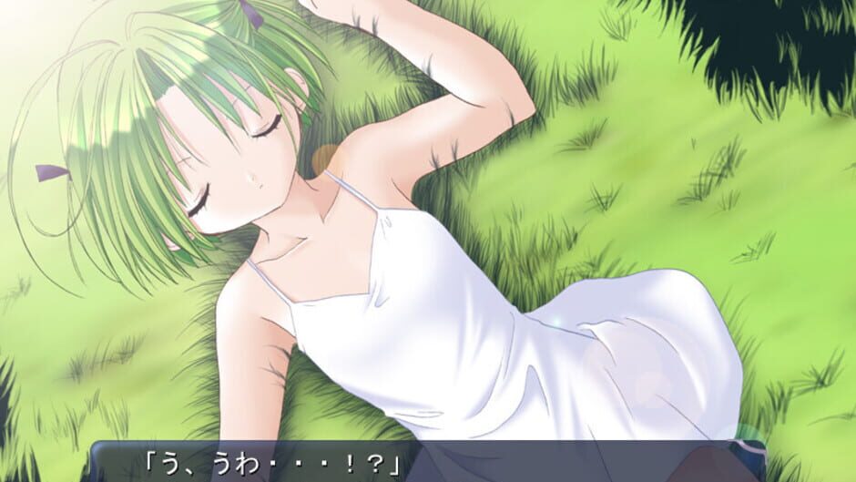 Screenshot for Di Gi Charat Fantasy
