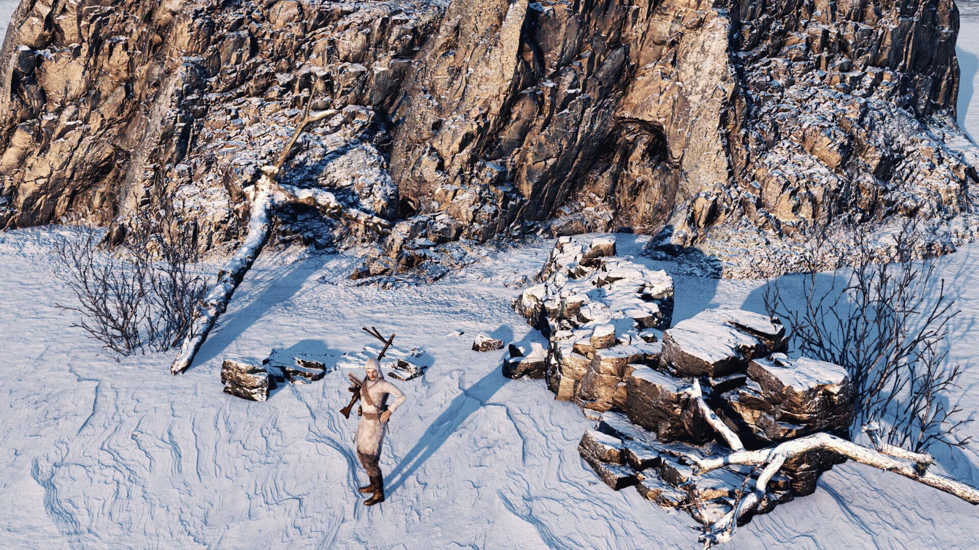 Screenshot for Call to Arms: Gates of Hell - Talvisota