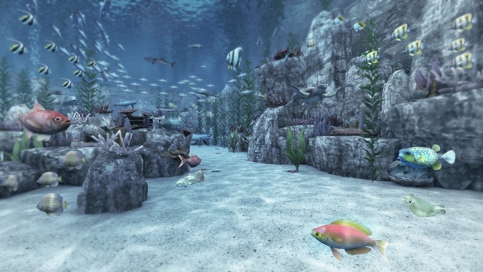 Screenshot for Real VR Fishing
