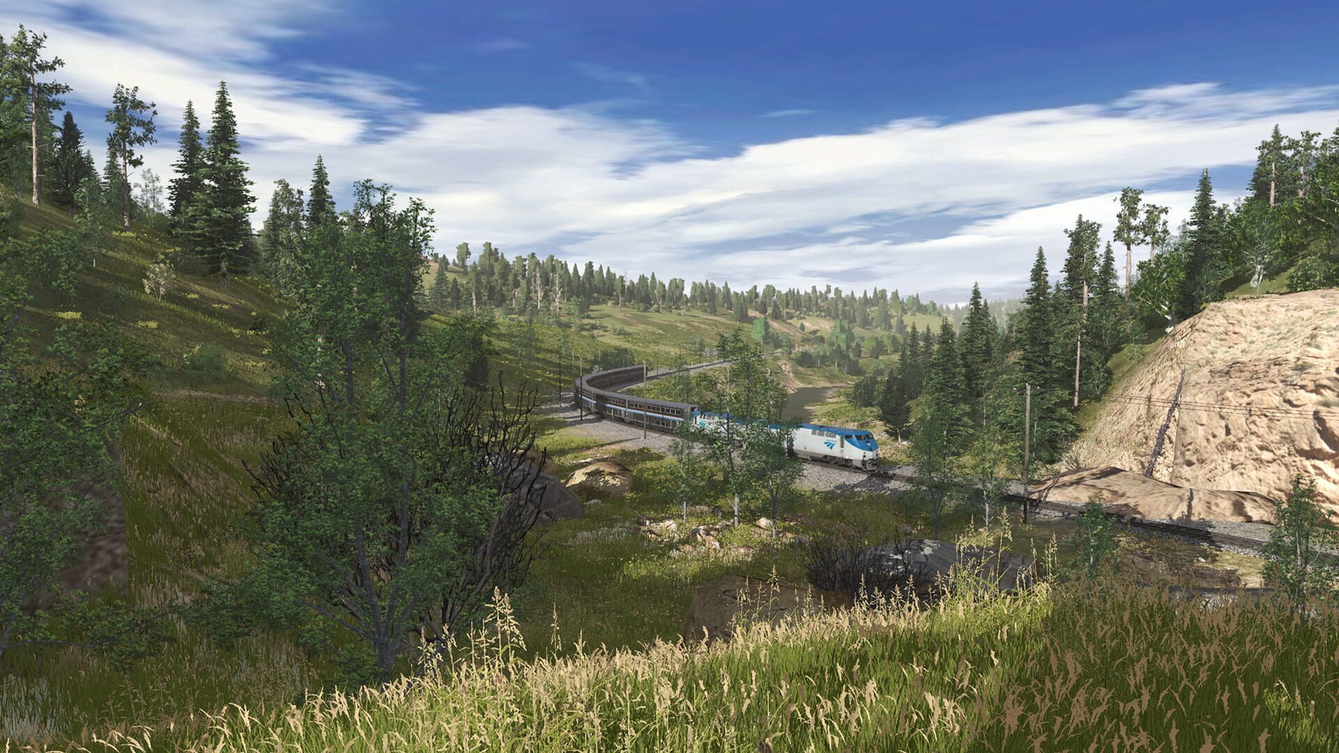 Screenshot for Trainz Plus