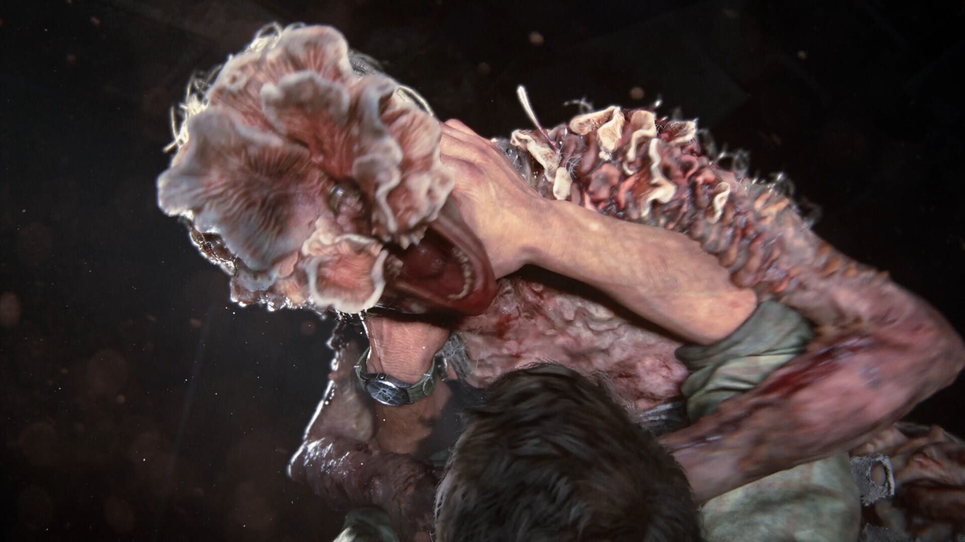 Screenshot for The Last of Us Part I