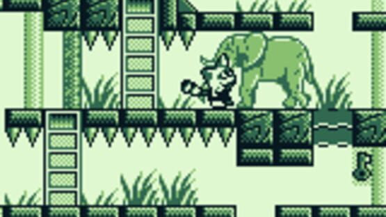 Screenshot for Pokonyan! Yume no Daibouken