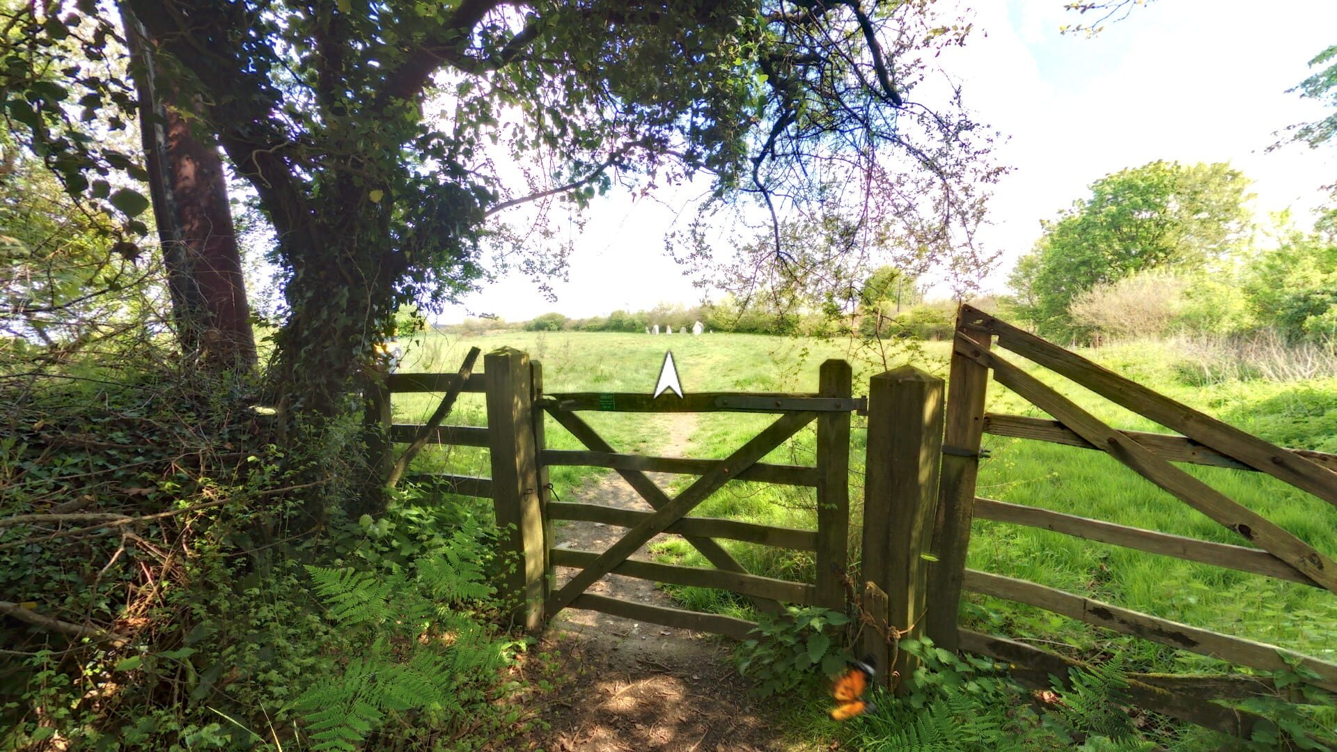 Screenshot for Beltane: A strange encounter at Duloe - Stone Circle