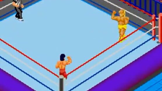Screenshot for Fire Pro Wrestling 2nd Bout