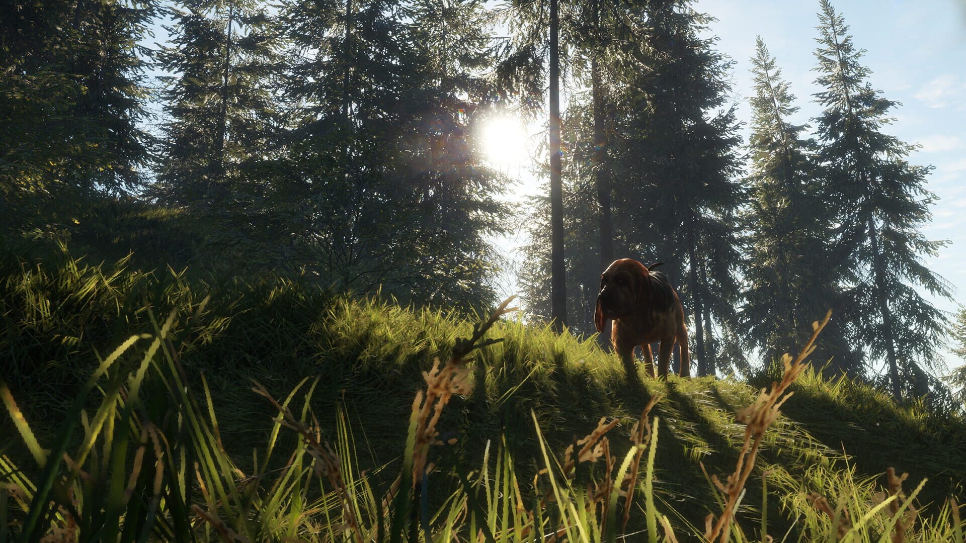 Screenshot for TheHunter: Call of the Wild - Bloodhound