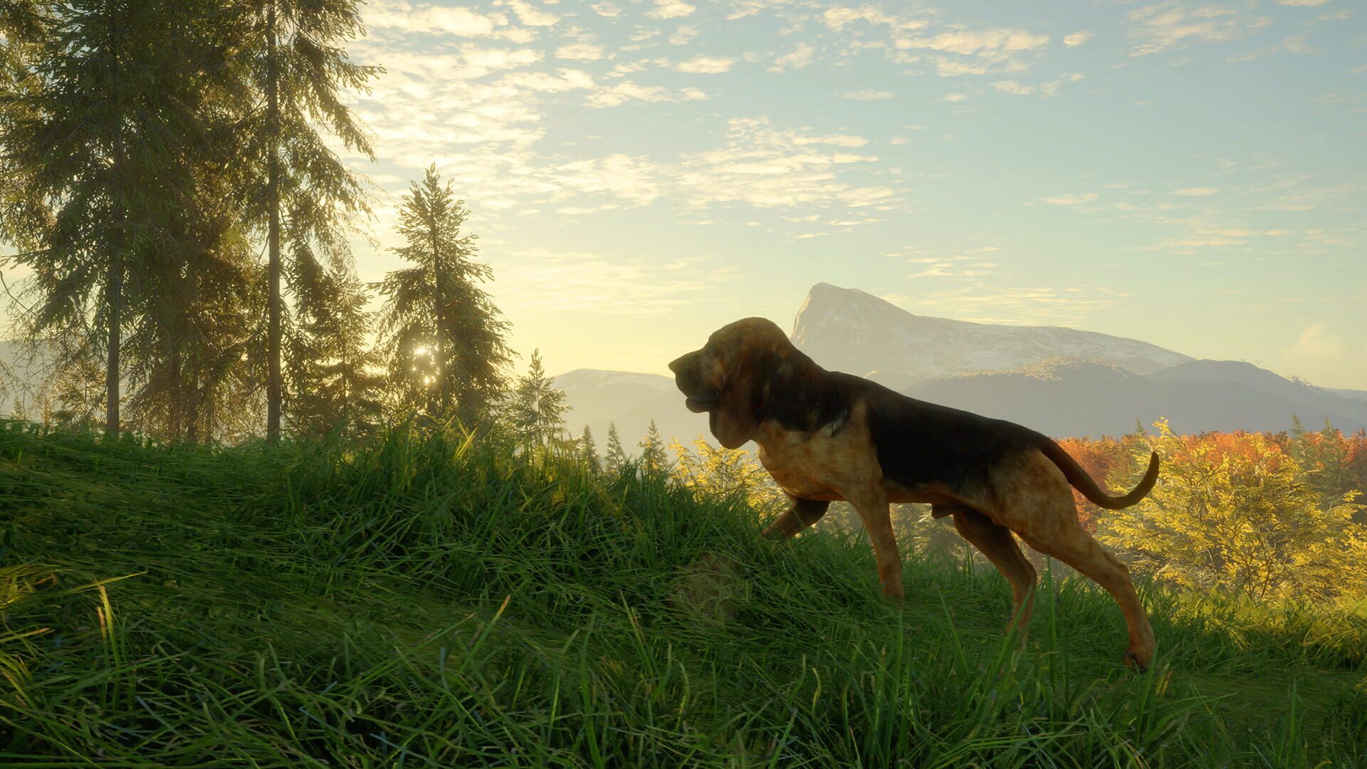 Screenshot for TheHunter: Call of the Wild - Bloodhound