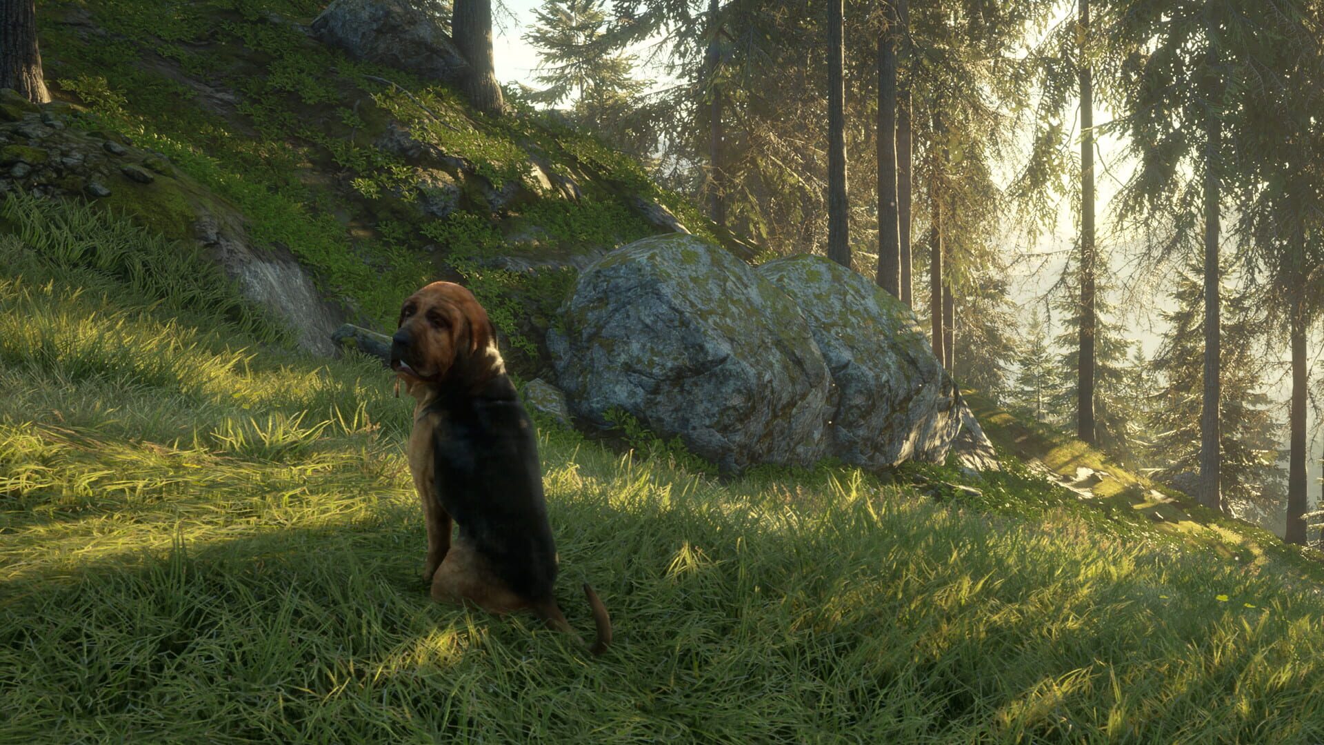 Screenshot for TheHunter: Call of the Wild - Bloodhound
