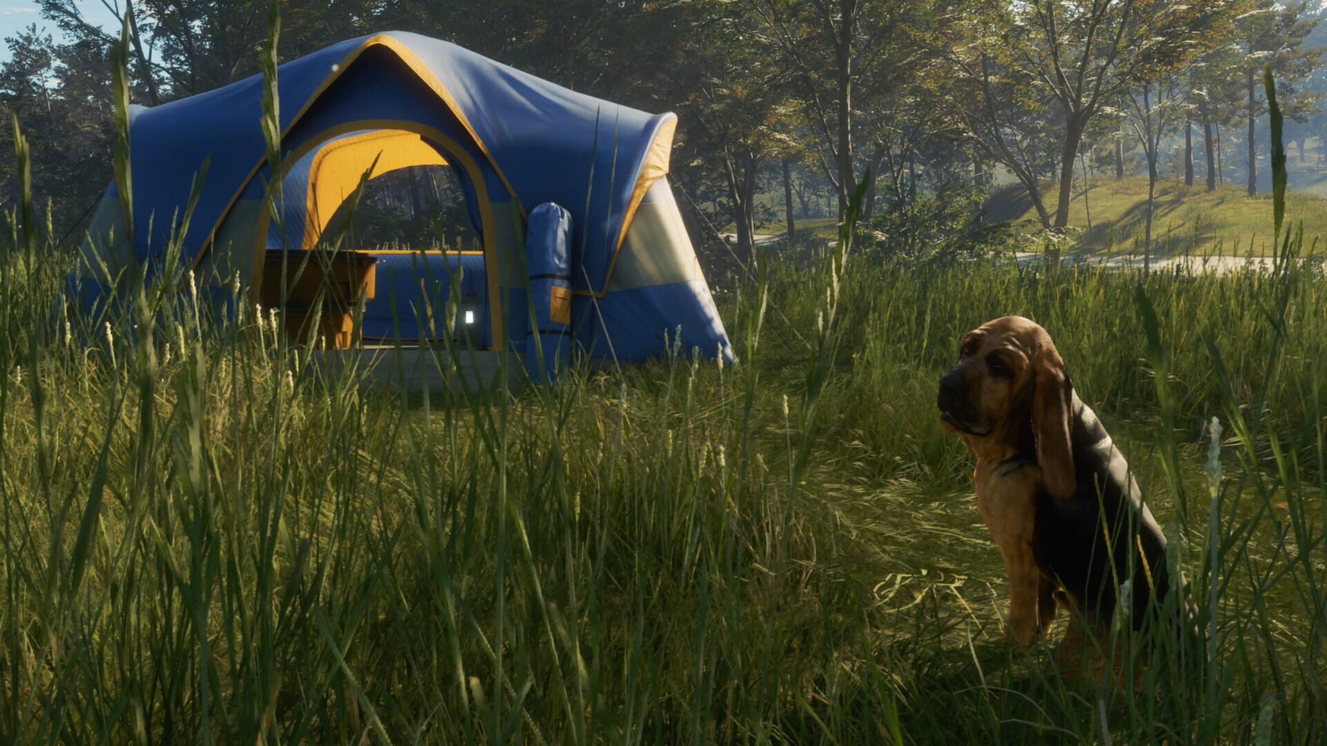 Screenshot for TheHunter: Call of the Wild - Bloodhound