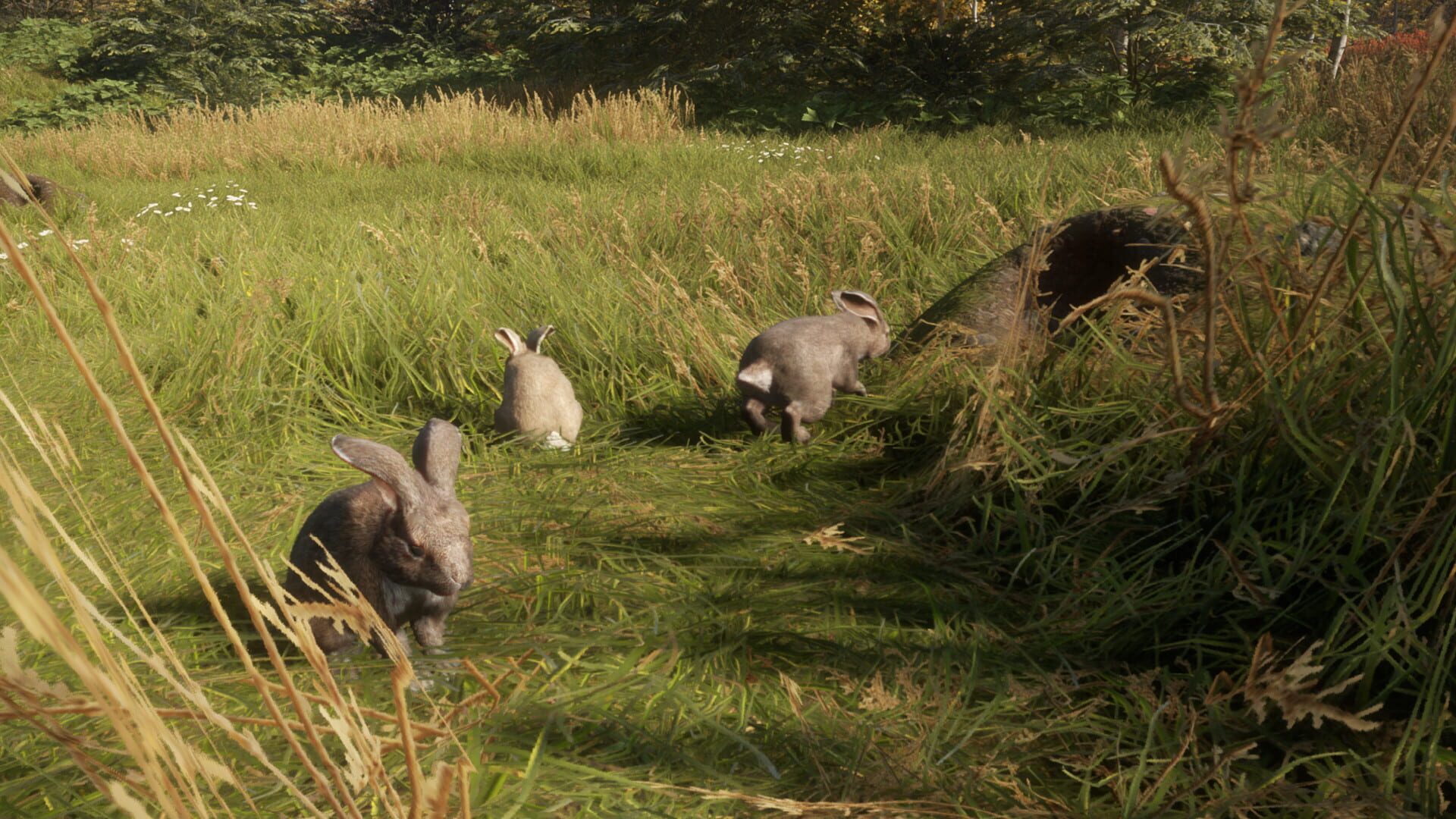 Screenshot for TheHunter: Call of the Wild - Free Species: European Rabbit