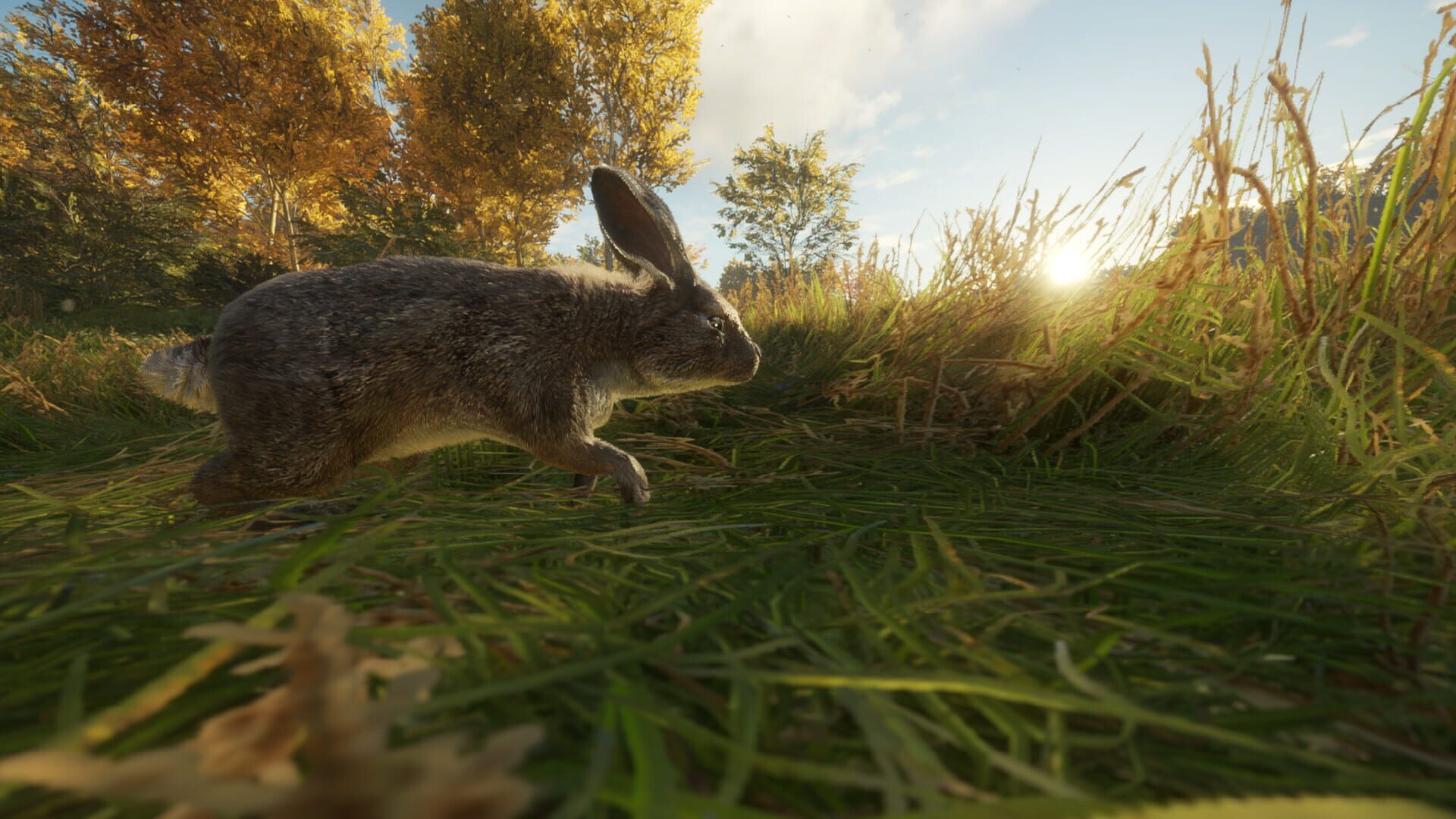 Screenshot for TheHunter: Call of the Wild - Free Species: European Rabbit
