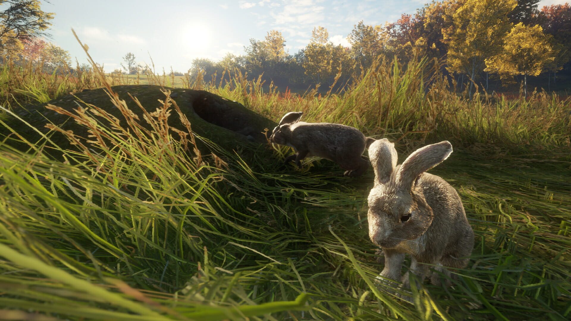 Screenshot for TheHunter: Call of the Wild - Free Species: European Rabbit