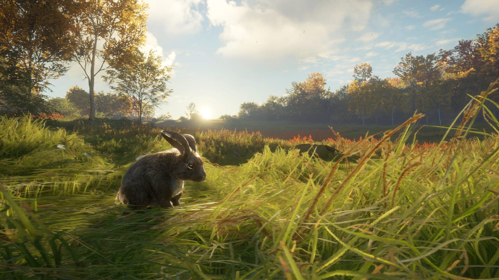 Screenshot for TheHunter: Call of the Wild - Free Species: European Rabbit