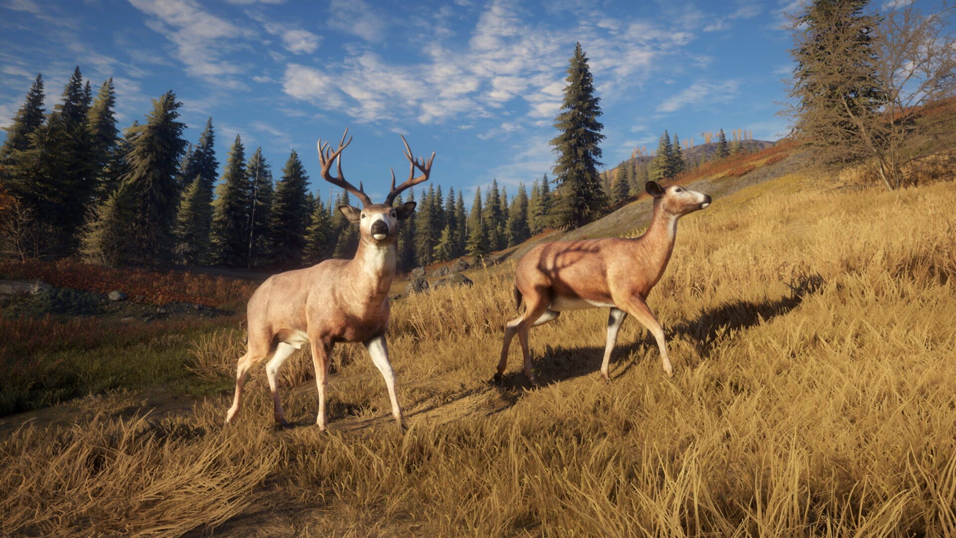 Screenshot for TheHunter: Call of the Wild - TruRACS