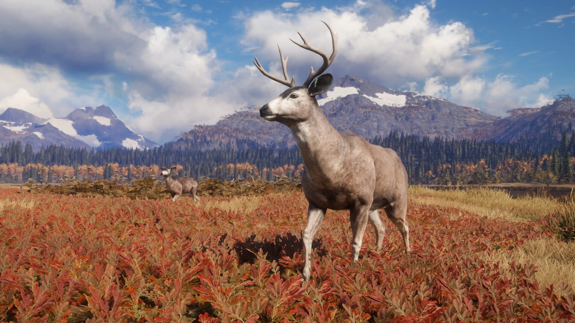 Screenshot for TheHunter: Call of the Wild - TruRACS