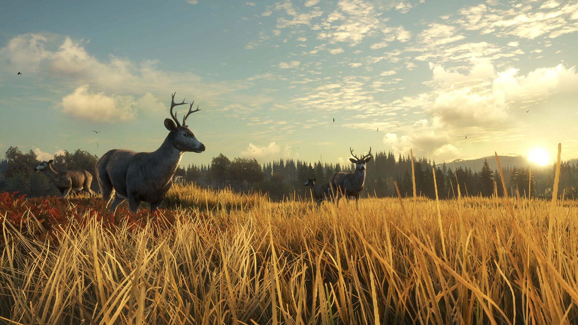 Screenshot for TheHunter: Call of the Wild - TruRACS