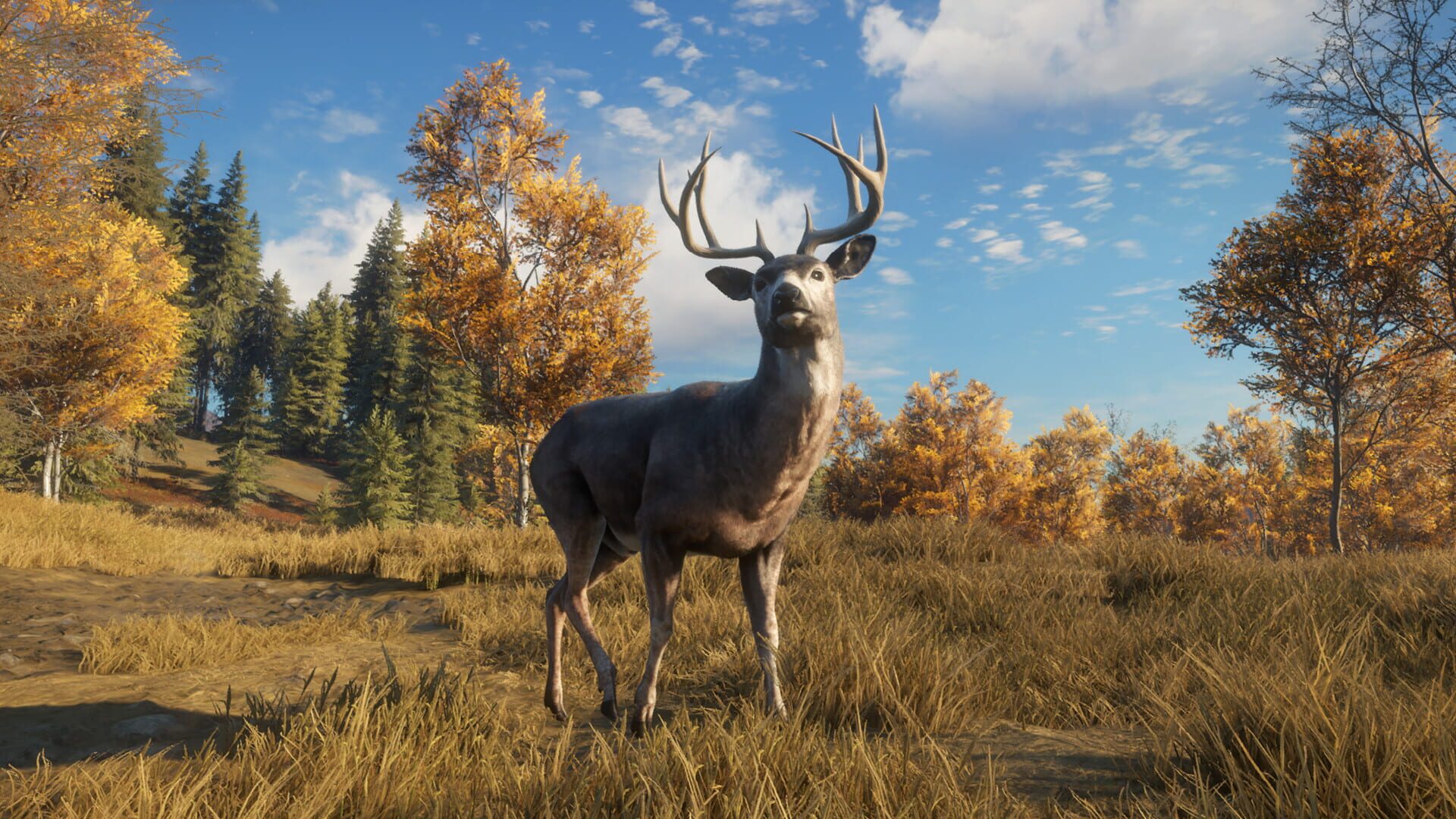 Screenshot for TheHunter: Call of the Wild - TruRACS