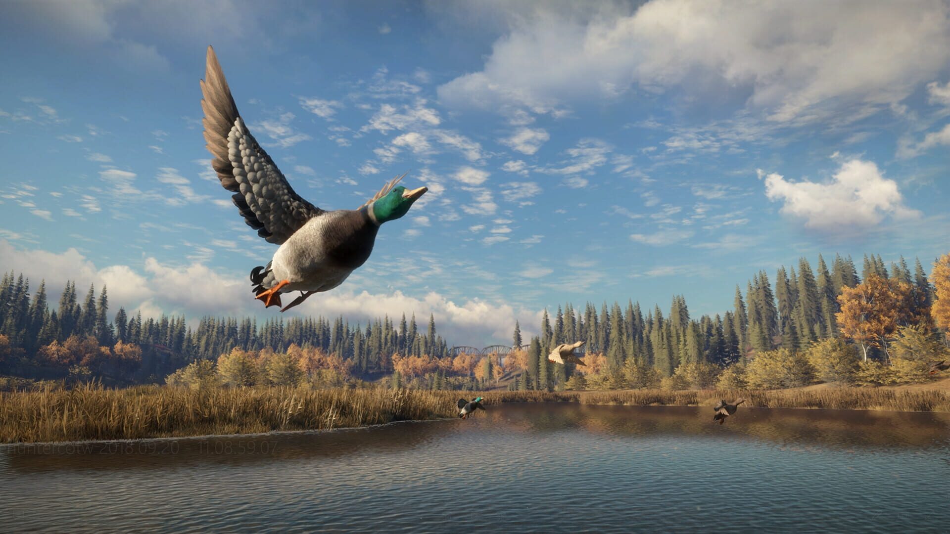 Screenshot for TheHunter: Call of the Wild - New Species 2018