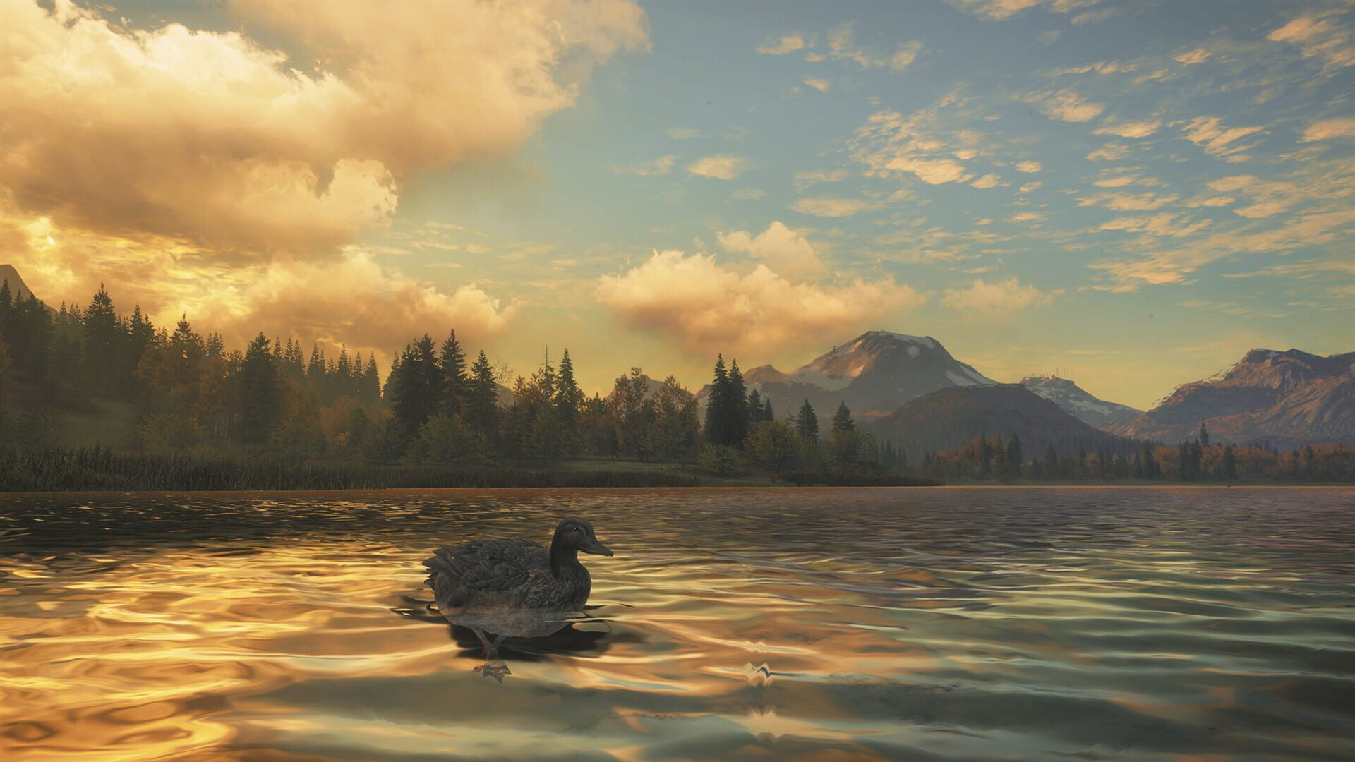 Screenshot for TheHunter: Call of the Wild - New Species 2018
