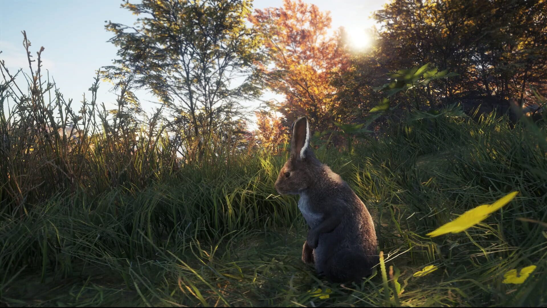 Screenshot for TheHunter: Call of the Wild - New Species 2018