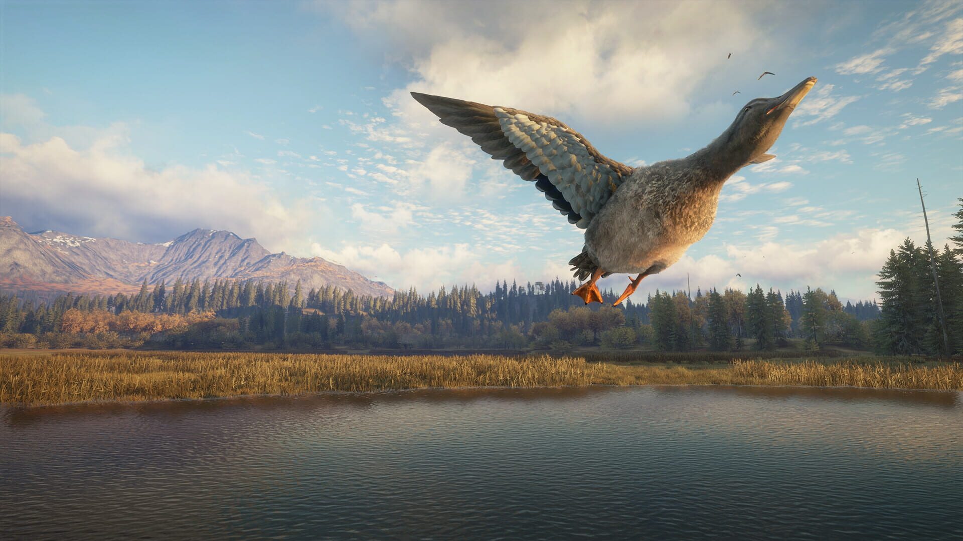 Screenshot for TheHunter: Call of the Wild - New Species 2018