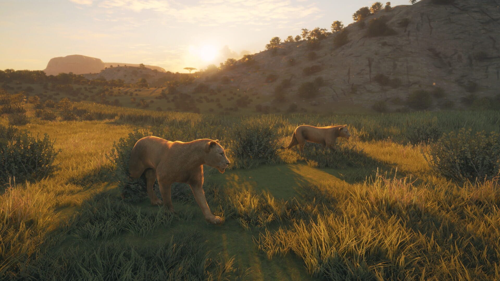 Screenshot for TheHunter: Call of the Wild - New Species 2019