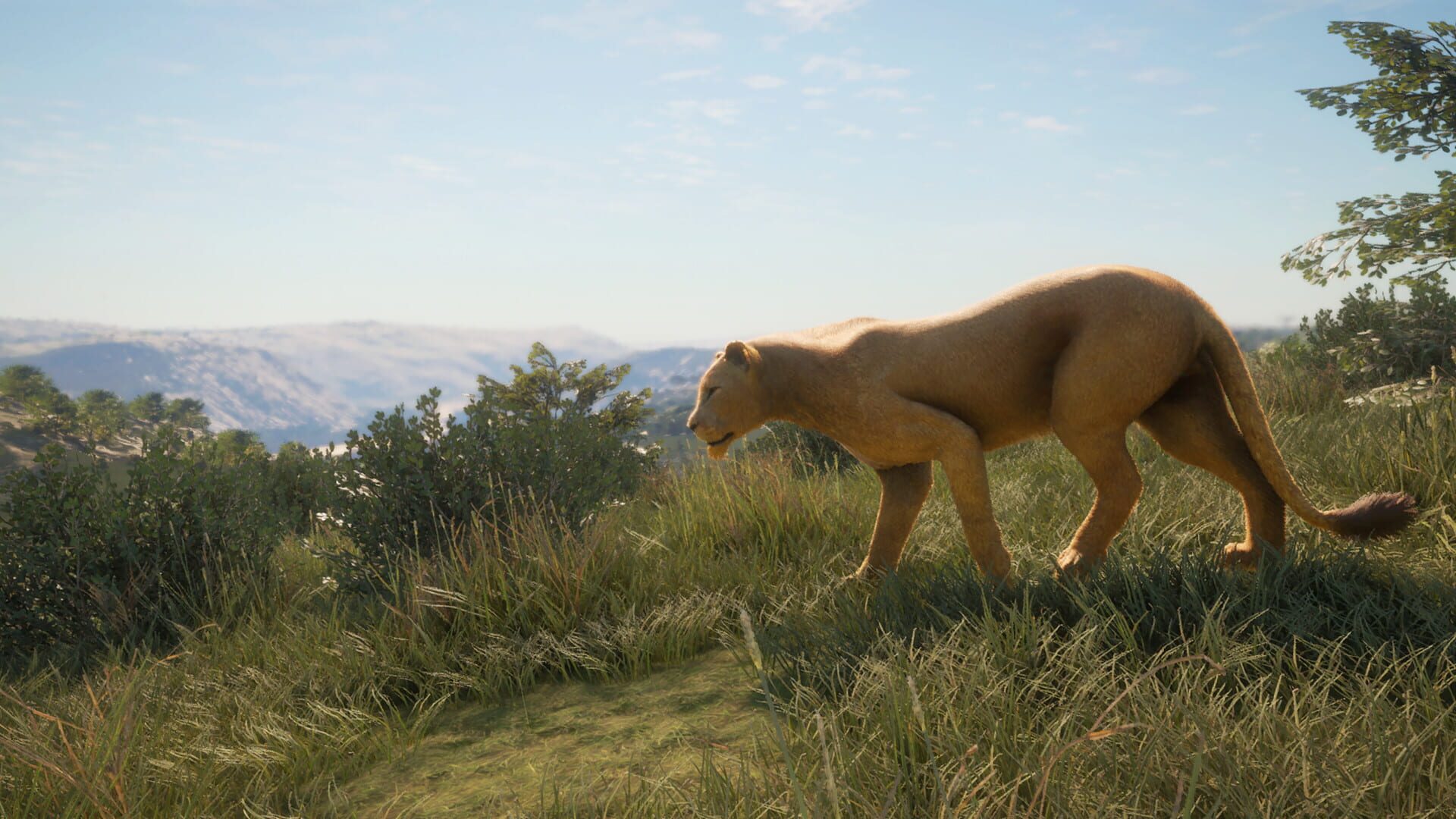 Screenshot for TheHunter: Call of the Wild - New Species 2019