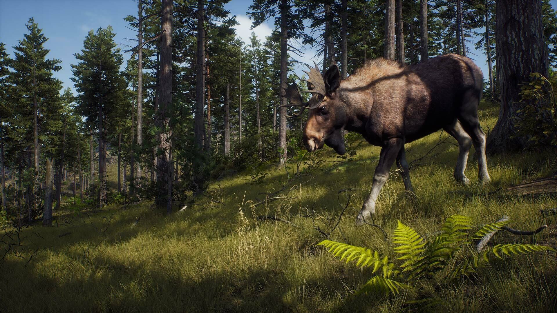 Screenshot for Way of the Hunter