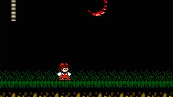 Screenshot for Touhou Rock Maiden FC