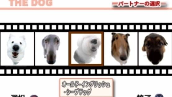 Screenshot for The Dog Master