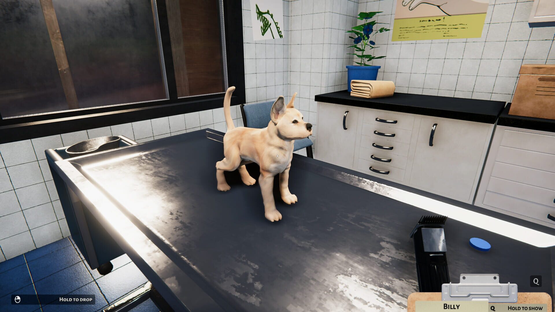 Screenshot for Animal Shelter Simulator: Puppies & Kittens
